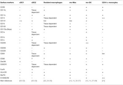 In vivo Differentiation of Human Monocytes